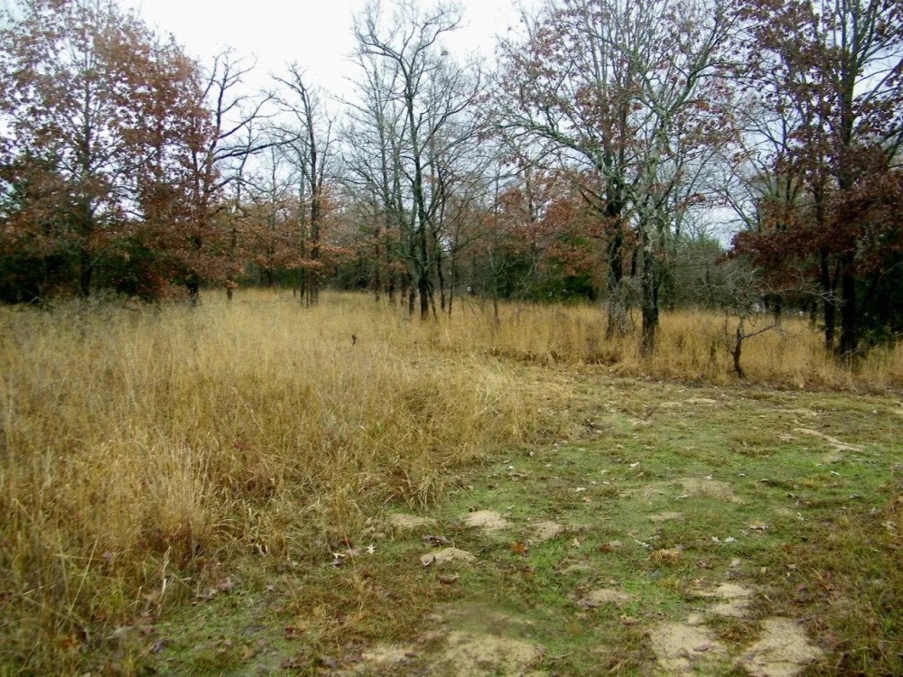 35 Acres for Home and Hunting featured image