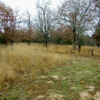35 Acres for Home and Hunting