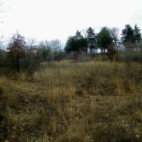 35 Acres for Home and Hunting images 2