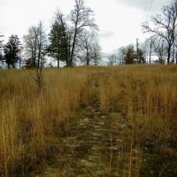 35 Acres for Home and Hunting images 3