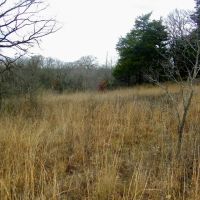 35 Acres for Home and Hunting images 4