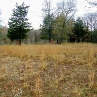 35 Acres for Home and Hunting images 5