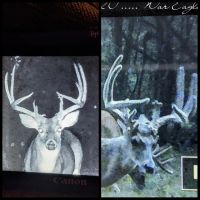Surveyed Land - Bull Shoals Lake View images 3