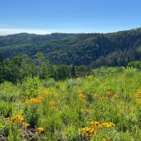 Skyline Ridge Ranch images 4