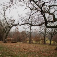 300-Acre Combo Farm in Queen City MO for Sale images 5