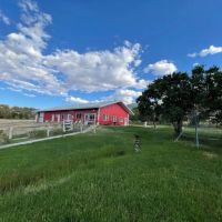 The Cat Ranch