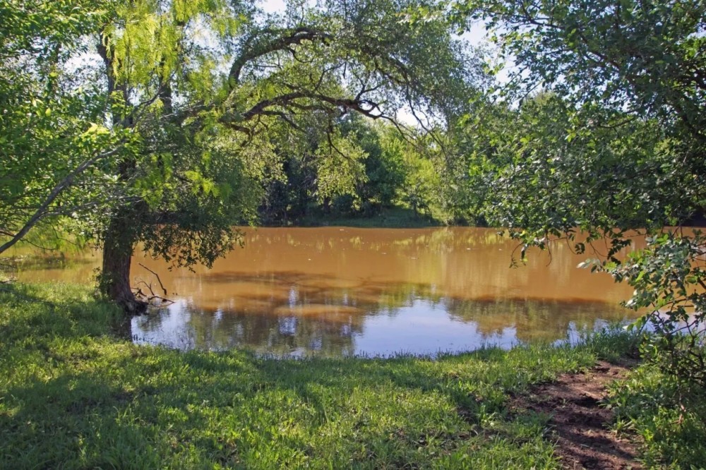 Ag Exempt Hunting Recreational Land in Holland TX featured image