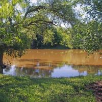 Ag Exempt Hunting Recreational Land in Holland TX