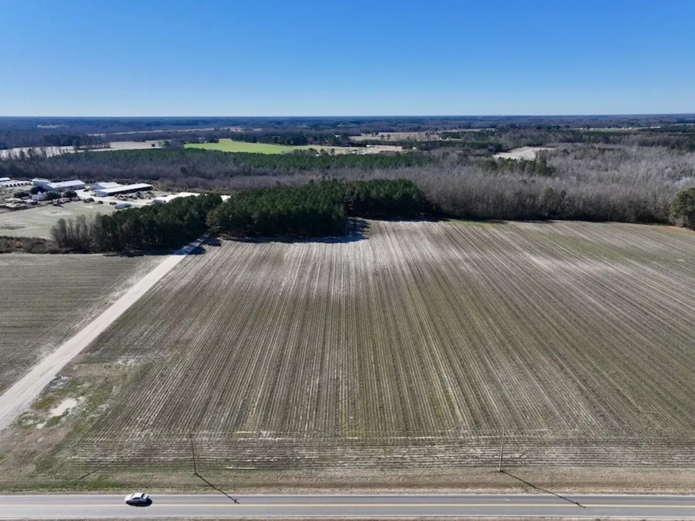 26.4 acres of Farm and Timber Land For Sale in Wilson County NC featured image