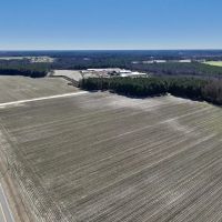 26.4 acres of Farm and Timber Land For Sale in Wilson County NC images 4