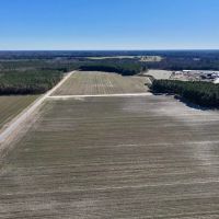26.4 acres of Farm and Timber Land For Sale in Wilson County NC images 5