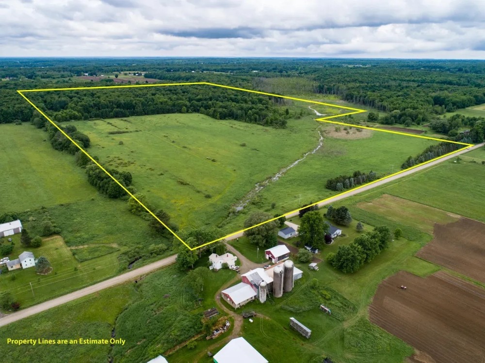 Silverthorn Rd. - Erie County - 111.53 Acres featured image