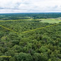 Silverthorn Rd. - Erie County - 111.53 Acres images 3