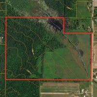 Silverthorn Rd. - Erie County - 111.53 Acres images 4