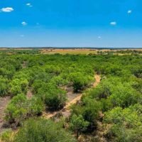 Frio County Rancho Cinco R E of Pearsall images 4
