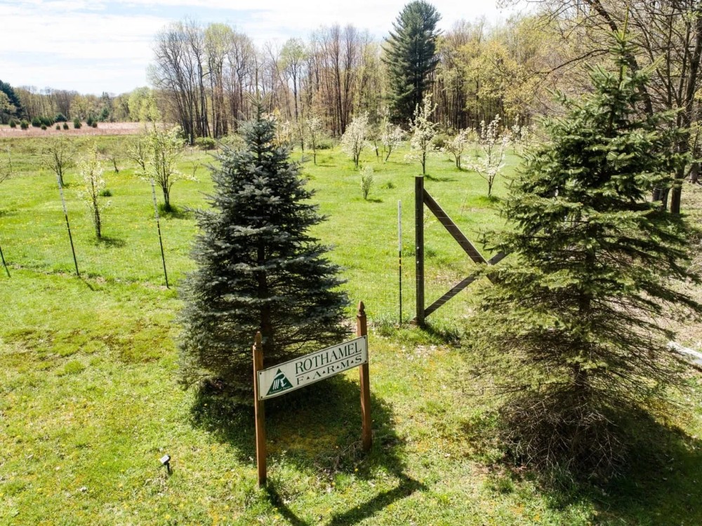 392 Nichols Farm Ln. - Warren County - 217.31 Acres featured image
