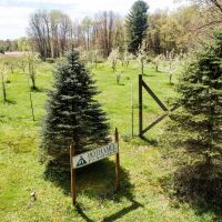 392 Nichols Farm Ln. - Warren County - 217.31 Acres