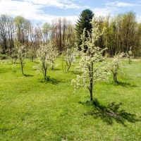 392 Nichols Farm Ln. - Warren County - 217.31 Acres images 2