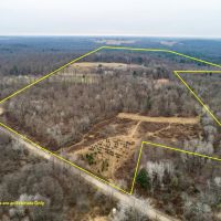 392 Nichols Farm Ln. - Warren County - 217.31 Acres images 5