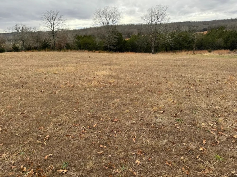 Pasture Ground Hay Fields Pond 18 - Acres Fulton County Arkansas featured image