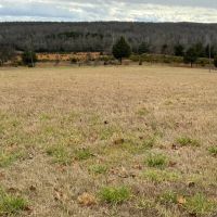 Pasture Ground Hay Fields Pond 18 - Acres Fulton County Arkansas images 2