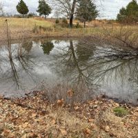 Pasture Ground Hay Fields Pond 18 - Acres Fulton County Arkansas images 5