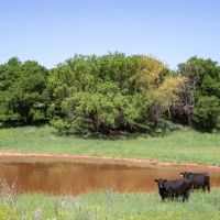 Phillips Estate Ranch images 2
