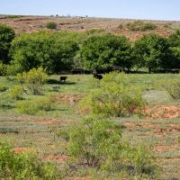 Phillips Estate Ranch images 3