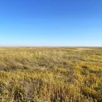 CRP Quarter Paying 5 057 Annually Until 2028