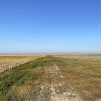 CRP Quarter Paying 5 057 Annually Until 2028 images 2