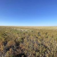 CRP Quarter Paying 5 057 Annually Until 2028 images 3