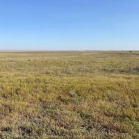 CRP Quarter Paying 5 057 Annually Until 2028 images 4