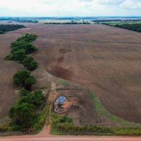 Dover 5 Acres images 2