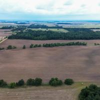 Dover 5 Acres images 3