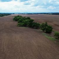 Dover 5 Acres images 4