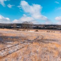 Camden County 218 images 2