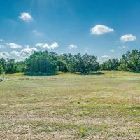 125 -Acres Tract 3 CR 407 Cross Plains TX 76443 images 4