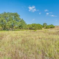 125 -Acres Tract 3 CR 407 Cross Plains TX 76443 images 5