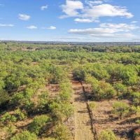 18 -Acres Tract 1 Hwy 6 Moran TX 76464 images 2
