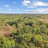 18 -Acres Tract 1 Hwy 6 Moran TX 76464 images 5