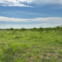 Price Improvement 10.5 Acres Tract 11 Shackelford County images 2