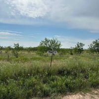 Price Improvement 10.5 Acres Tract 11 Shackelford County images 4
