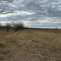 Price Improvement 10.5 Acres Tract 11 Shackelford County images 5