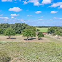 48 -Acres CR 290 Rising Star TX 76471 images 4