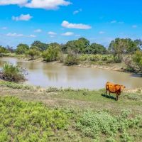 48 -Acres CR 290 Rising Star TX 76471 images 5