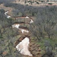 New Listing 50.82 Acres Taylor County