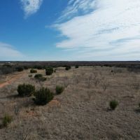 New Listing 50.82 Acres Taylor County images 3
