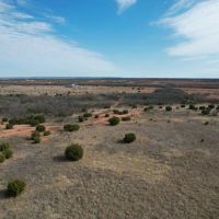 New Listing 50.82 Acres Taylor County images 5