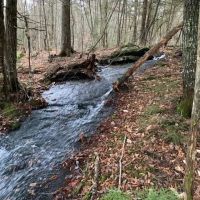Incredible Recreational Opportunity images 3