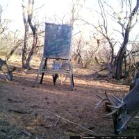 Back on the Market 81.56 Acres Jones County West images 3
